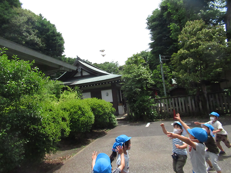 八幡幼稚園 鎮守の森
